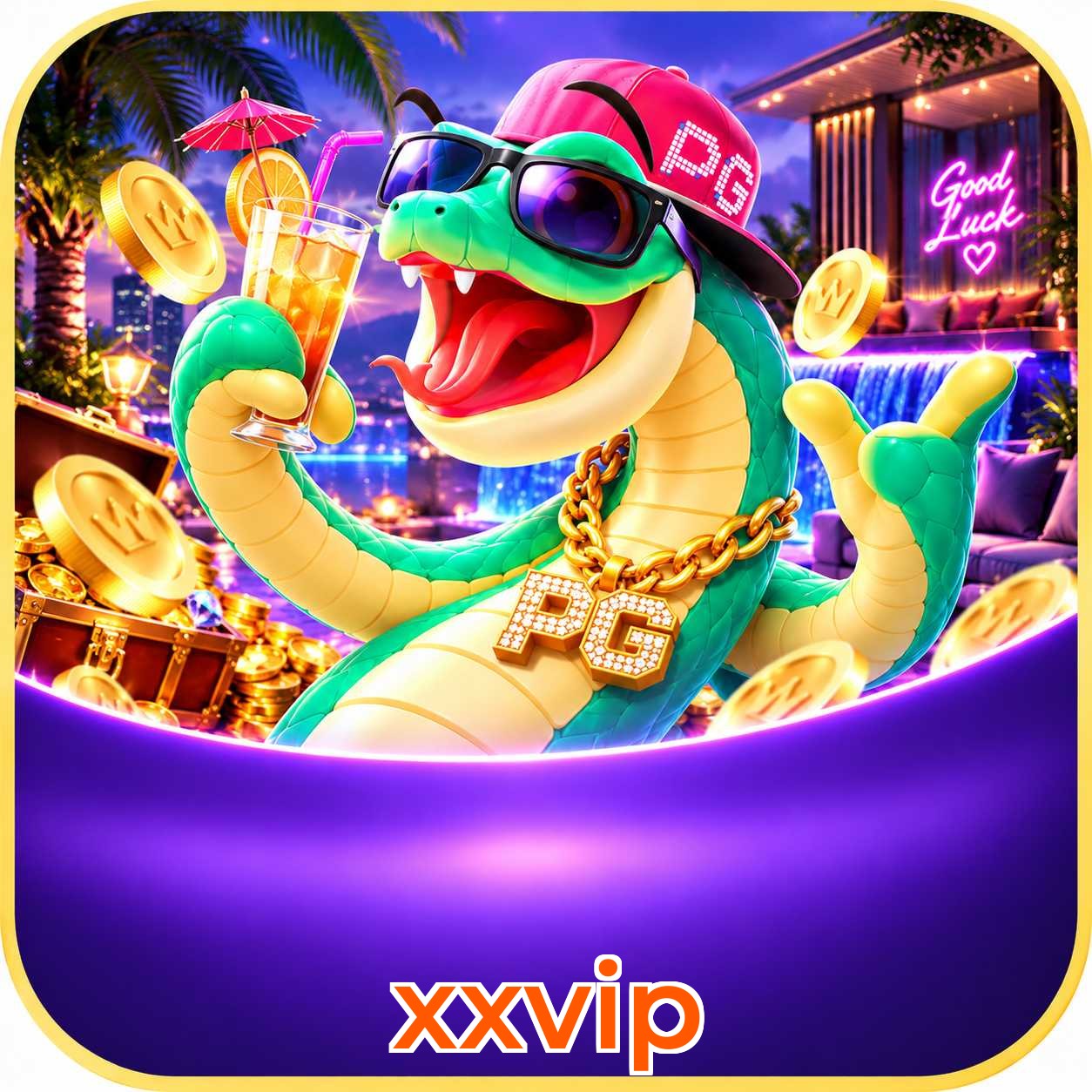 xxvip Performance